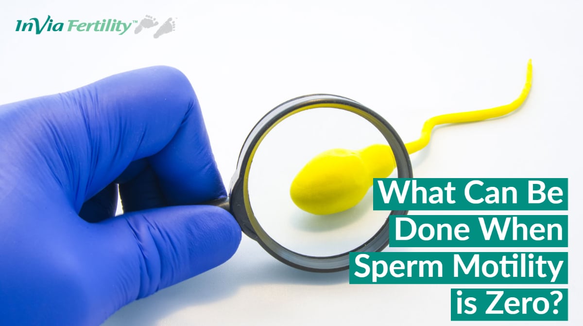 What Can Be Done When Sperm Motility is Zero?